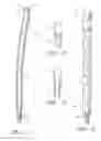 Fig. 02 - SNAP AND TWIST SEGMENTED INTRAMEDULLARY SYSTEM, APPARATUS AND ASSOCIATED METHODS
