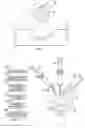 Fig. 02 - METHODS AND DEVICES FOR REPAIRING BONE DEFECTS