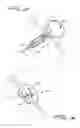 Fig. 07 - SEPTAL DEFECT CLOSURE DEVICE