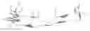 Fig. 01 - Stentless support structure