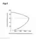 Fig. 06 - Vehicular information processing device