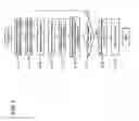 Fig. 02 - Analysis method of vibrational spectra