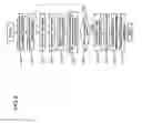 Fig. 06 - Analysis method of vibrational spectra