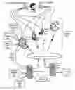 Fig. 01 - DYNAMICALLY GENERATING A VOCAL HELP PROMPT IN A MULTIMODAL APPLICATION