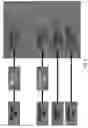 Fig. 09 - Differential Encoding With Adaptive Resetting