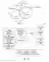 Fig. 02 - Software design and automatic coding for parallel computing
