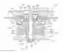 Fig. 01 - Spindle motor
