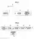 Fig. 02 - Copy control method
