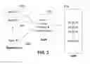Fig. 03 - Association of multiple public user identifiers to disparate applications in an end-user's device