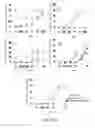 Fig. 06 - Antibodies that bind stresscopin peptides