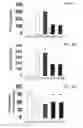 Fig. 08 - Antibodies that bind stresscopin peptides