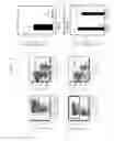Fig. 02 - Humanized NSG mouse, method of producing the same and use thereof