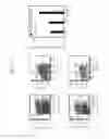 Fig. 03 - Humanized NSG mouse, method of producing the same and use thereof
