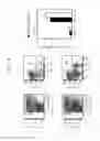 Fig. 05 - Humanized NSG mouse, method of producing the same and use thereof