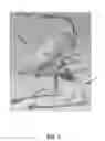 Fig. 02 - Motion device for children