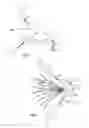 Fig. 02 - Fishing Lure Having Fully Rotatable Shank