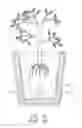 Fig. 08 - Water Supply Device for Planting Container