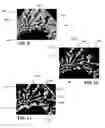 Fig. 06 - BONDED ABRASIVE ARTICLES, METHOD OF FORMING SUCH ARTICLES, AND GRINDING PERFORMANCE OF SUCH ARTICLES