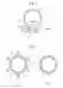 Fig. 02 - COMPOSITE MAGNETIC RING AND ENERGY CONVERTER
