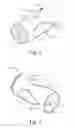 Fig. 02 - Shot cup for shotshell