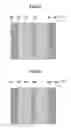 Fig. 07 - Pallet apparatus