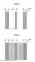 Fig. 08 - Pallet apparatus