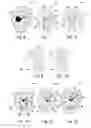 Fig. 03 - Multi-sector display