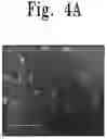 Fig. 05 - Solar cells and methods of forming the same