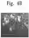 Fig. 06 - Solar cells and methods of forming the same