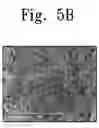 Fig. 10 - Solar cells and methods of forming the same