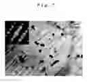 Fig. 08 - Mg alloy