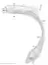 Fig. 01 - TIRES WITH HIGH STRENGTH REINFORCEMENT