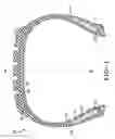 Fig. 02 - TIRES WITH HIGH STRENGTH REINFORCEMENT