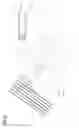 Fig. 07 - Rotating system for unstacking, transporting, and feeding sheets