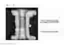 Fig. 03 - NICKEL ELECTROPLATING SOLUTION AND CHIP PARTS USING THE SAME