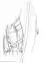 Fig. 02 - Cargo rack assembly for wakeboard boats