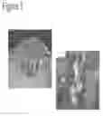Fig. 02 - BRAZING FORMULATION AND METHOD OF MAKING THE SAME