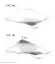 Fig. 05 - CASSETTE TYPE RADIOGRAPHIC IMAGE SOLID-STATE DETECTOR