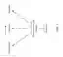 Fig. 12 - METHOD OF AND APPARATUS FOR PHOTO-ACTIVATING A COLLECTED SAMPLE OF FAT TISSUE INCLUDING STEM CELLS THEREIN, CONTAINED IN A TISSUE COLLECTION AND PROCESSING DEVICE