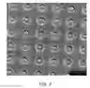 Fig. 09 - Group III nitride nanorod light emitting device and method of manufacturing thereof