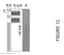 Fig. 04 - Trench polysilicon diode