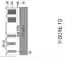 Fig. 08 - Trench polysilicon diode