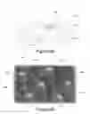 Fig. 06 - Close-packed array of light emitting devices