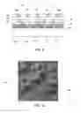 Fig. 06 - ELECTRICALLY CONDUCTIVE ADHESIVE FOR TEMPORARY BONDING