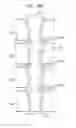 Fig. 16 - Stacked chip assembly having vertical vias