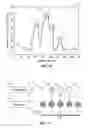 Fig. 07 - System and method for dynamic gesture recognition using geometric classification