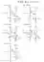 Fig. 07 - Driving method for organic electroluminescence light emitting section