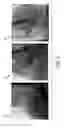 Fig. 07 - Method and system for efficient extraction of a silhouette of a 3D mesh