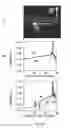 Fig. 19 - DISPLAY AND ILLUMINATION DEVICE