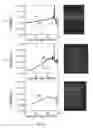 Fig. 20 - DISPLAY AND ILLUMINATION DEVICE